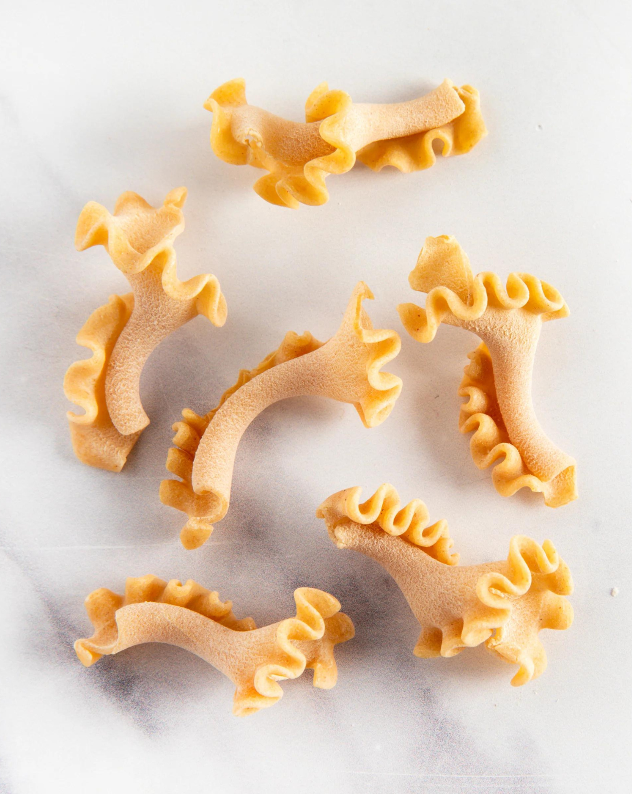 6 Loose Trumpet Chantrelle pasta